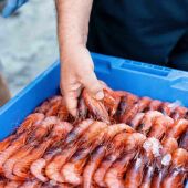 La Gamba Roja de Almería cuenta con su propia marca para diferenciarse de otras flotas