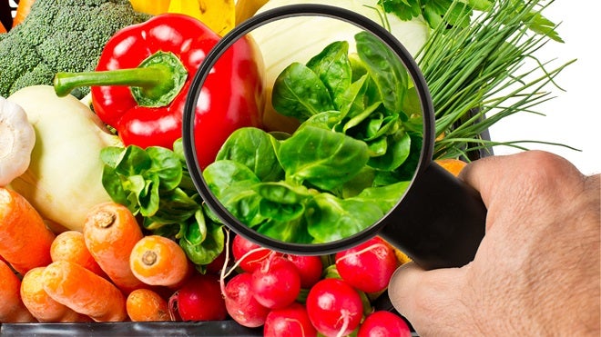 Toxicología de la UEx señala el objetivo "clave" de Ciencia y Sanidad de garantizar la seguridad de los alimentos Toxicología de la UEx señala el objetivo "clave" de Ciencia y Sanidad de garantizar la seguridad de los alimentos