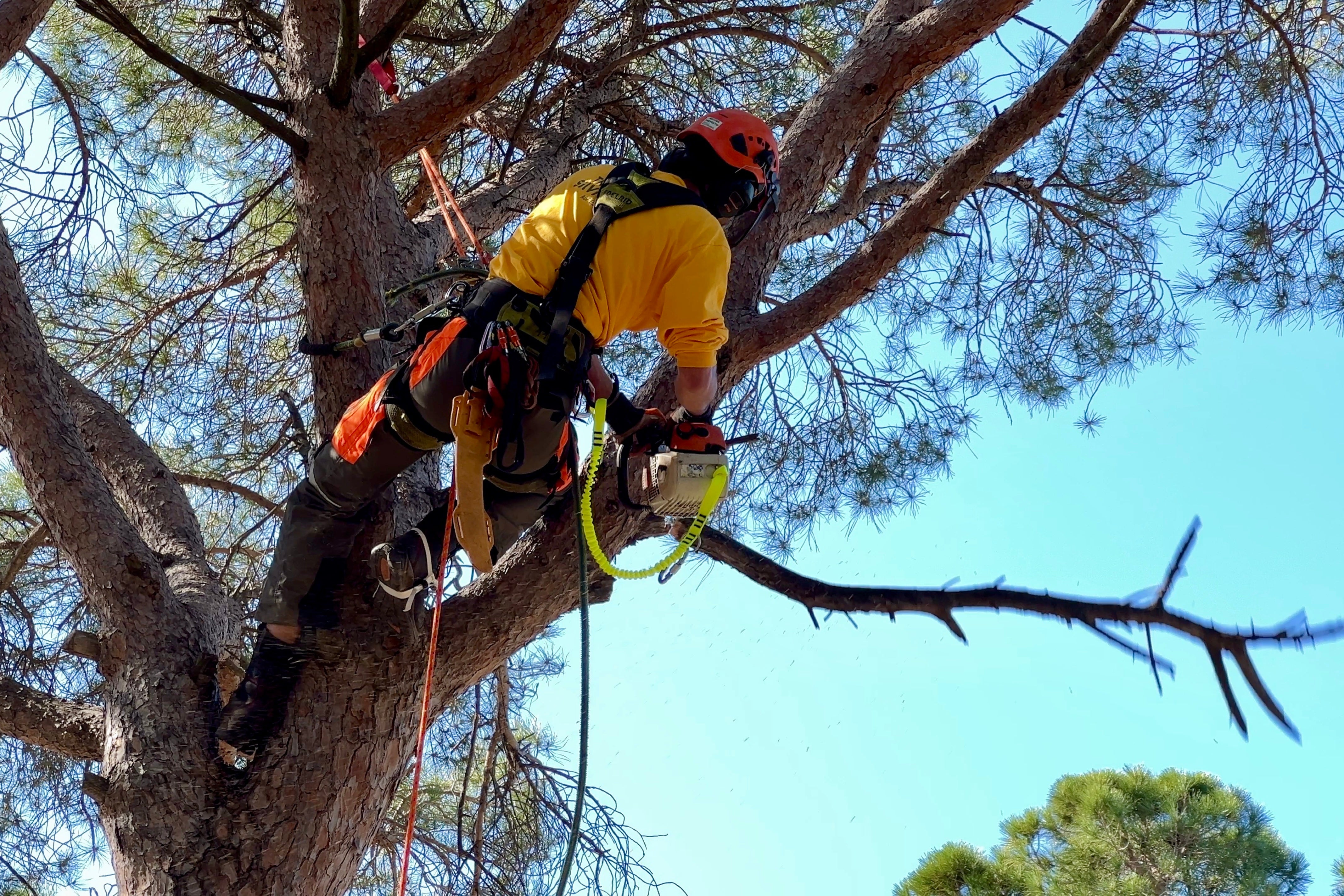 Bombers i ADF, enfrontats per la campanya d'incendis forestals d'aquest estiu Bombers i ADF, enfrontats per la campanya d'incendis forestals d'aquest estiu