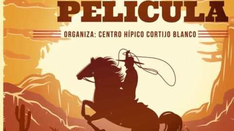 sillas de pelicula