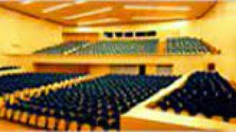 Teatro Auditorio "Buero Vallejo". Guadalajara.
