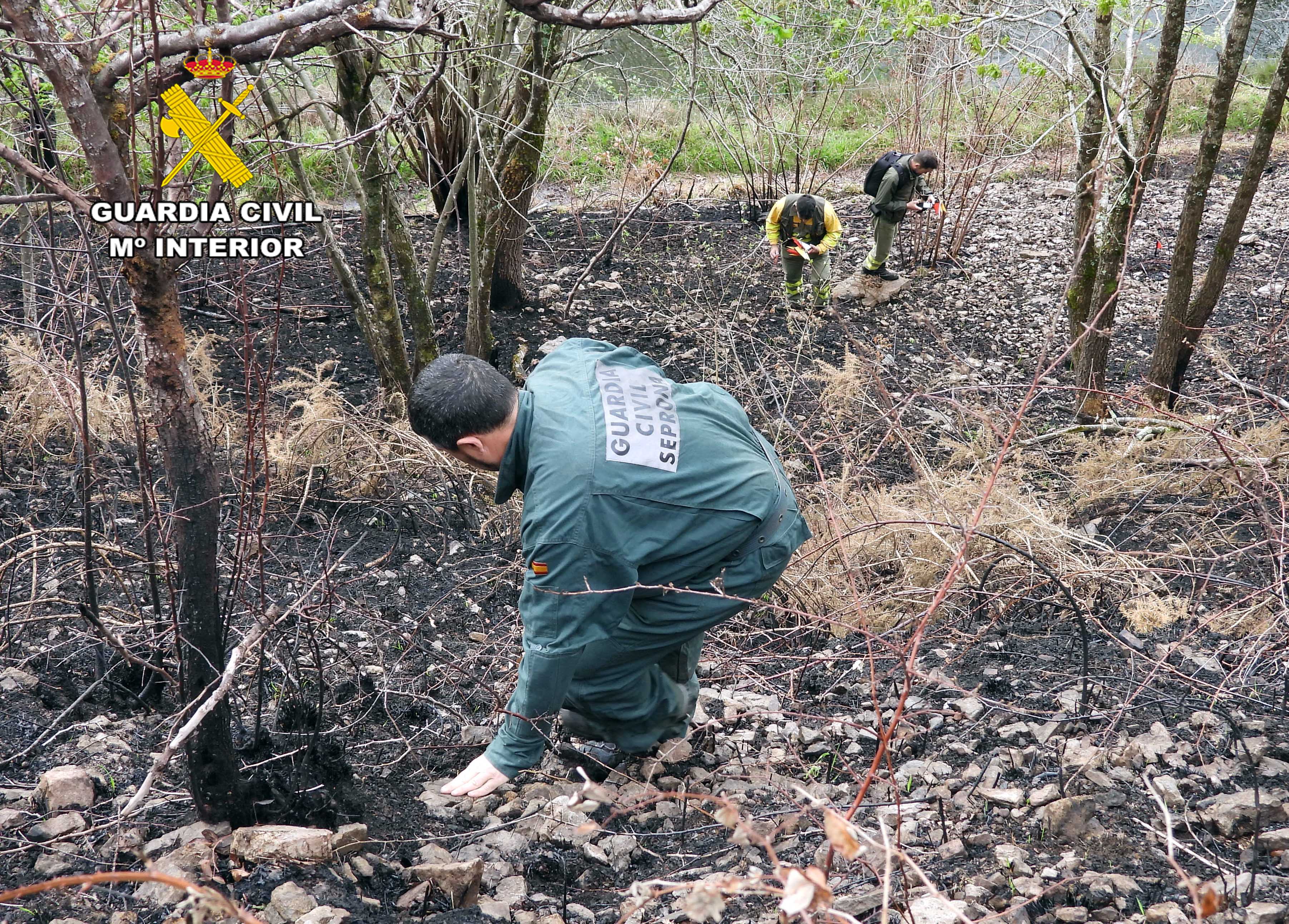 Detienen a un joven de 20 años como autor de un incendio que afectó a 199 hectáreas en Vega de Pas Detienen a un joven de 20 años como autor de un incendio que afectó a 199 hectáreas en Vega de Pas