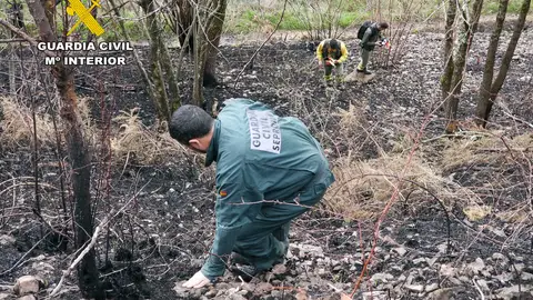 Investigación de la Guardia Civil de Cantabria del incendio en Vega de Pas Investigación de la Guardia Civil de Cantabria del incendio en Vega de Pas
