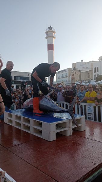 Un ronqueo, paseos por la costa y un bautismo de buceo, los atractivos de la Fiesta del Mar de Rota Un ronqueo, paseos por la costa y un bautismo de buceo, los atractivos de la Fiesta del Mar de Rota