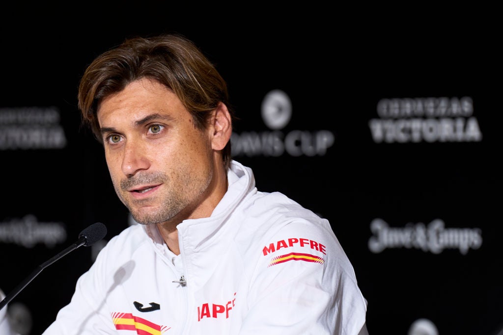 David Ferrer: "Alcaraz tiene calidad para estar entre los mejores de la historia" David Ferrer: "Alcaraz tiene calidad para estar entre los mejores de la historia"