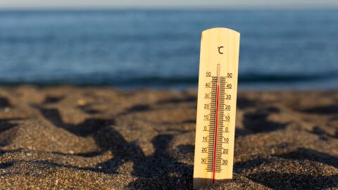 Term&oacute;metro en la playa