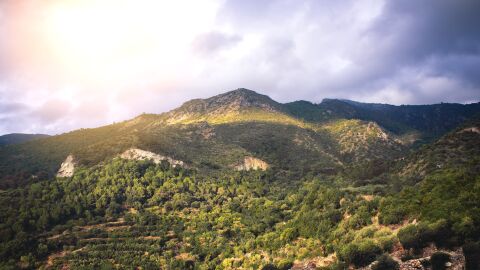 SIERRA DE LAS NIEVES