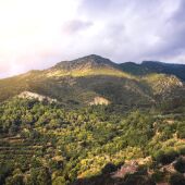 SIERRA DE LAS NIEVES