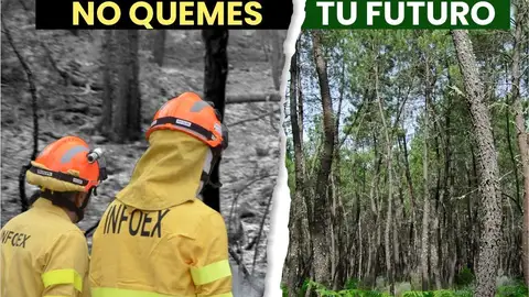 Una campaña publicitaria de la Junta pide a los extremeños responsabilidad para tener un verano "tranquilo" por los incendios Una campaña publicitaria de la Junta pide a los extremeños responsabilidad para tener un verano "tranquilo" por los incendios
