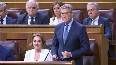 Alberto Núñez Feijóo pregunta al presidente del Gobierno, Pedro Sánchez, durante la sesión de control al Gobierno