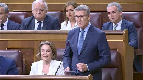Alberto Núñez Feijóo pregunta al presidente del Gobierno, Pedro Sánchez, durante la sesión de control al Gobierno Alberto Núñez Feijóo pregunta al presidente del Gobierno, Pedro Sánchez, durante la sesión de control al Gobierno