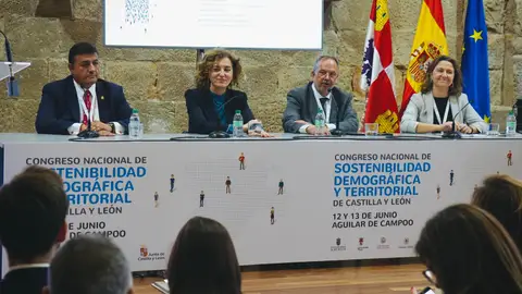 El Congreso Nacional de Sostenibilidad Demográfica y Territorial de Castilla y León, un enriquecedor semillero de ideas y propuestas para abordar el reto demográfico .