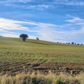 Zona de Campo de Montiel
