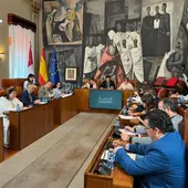 Pleno de la Diputación de Ciudad Real Pleno de la Diputación de Ciudad Real