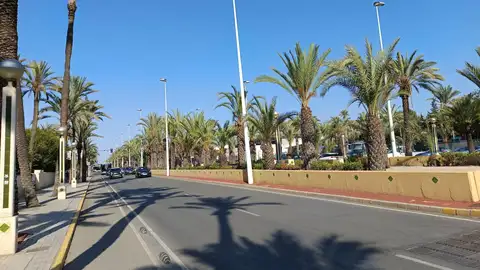 Avenida en Elche. Avenida en Elche.