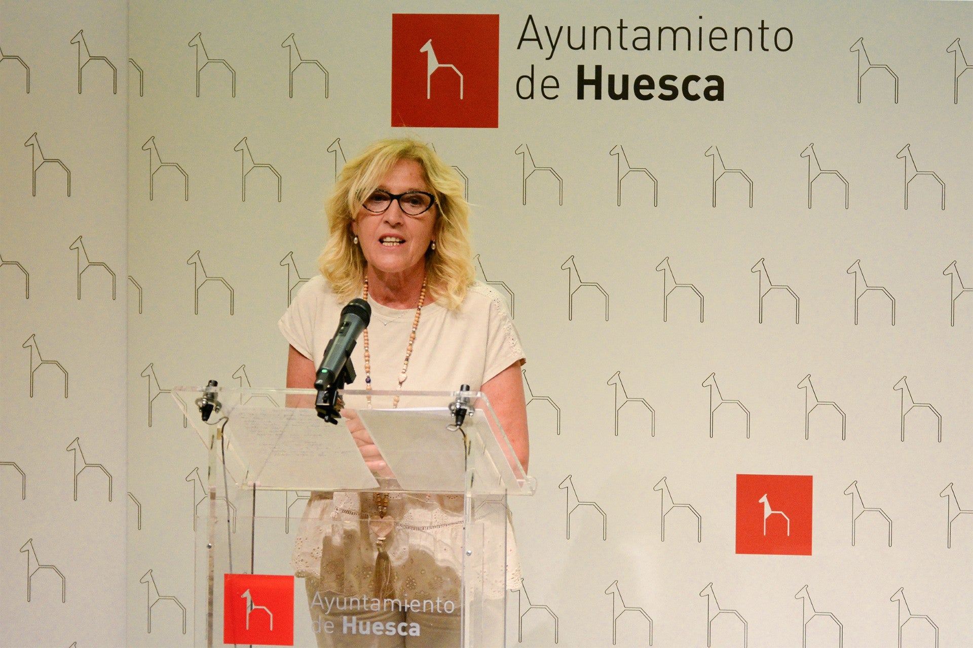 PSOE Huesca: "Ha sido un primer año triste, de nula gestión y mucha confrontación" PSOE Huesca: "Ha sido un primer año triste, de nula gestión y mucha confrontación"