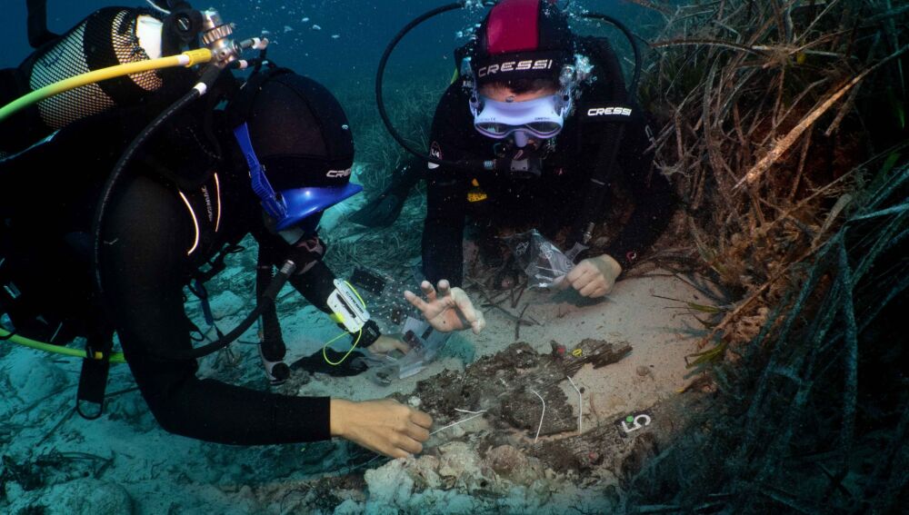 Proceso de excavación del pecio de Punta Prima (siglo II a.C.)
