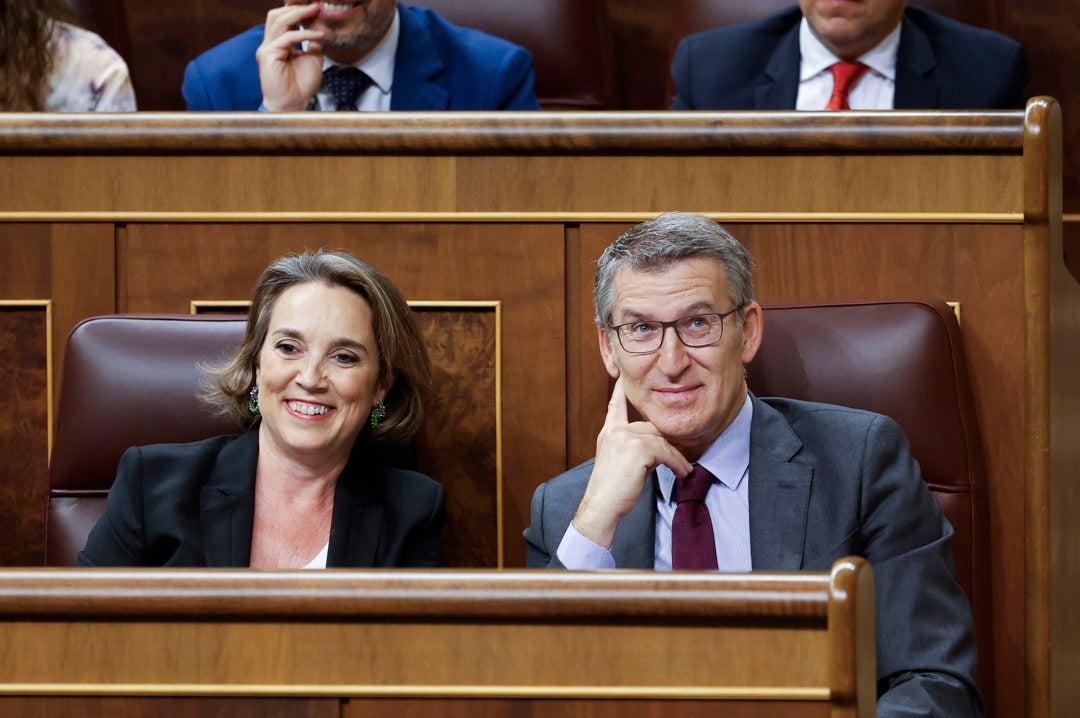 Feijóo, a Sánchez: "No hay regeneración democrática posible mientras usted sea presidente" Feijóo, a Sánchez: "No hay regeneración democrática posible mientras usted sea presidente"