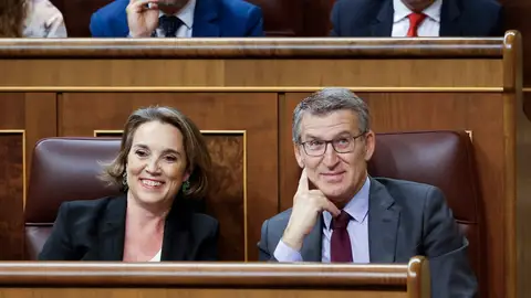 El líder popular Alberto Núñez Feijóo (d) y la diputada Cuca Gamarra asisten a la sesión de control El líder popular Alberto Núñez Feijóo (d) y la diputada Cuca Gamarra asisten a la sesión de control/ EFE/ Mariscal