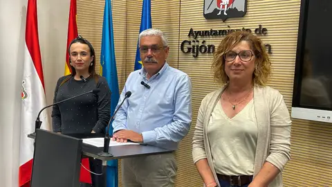 El psoe de Gijón pide la dimisión de la alcaldesa El psoe de Gijón pide la dimisión de la alcaldesa