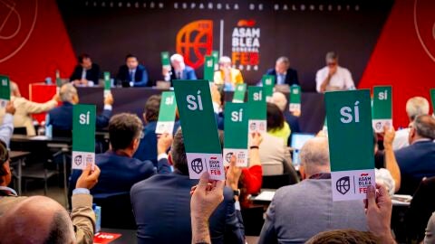 Votaci&oacute;n en la FEB