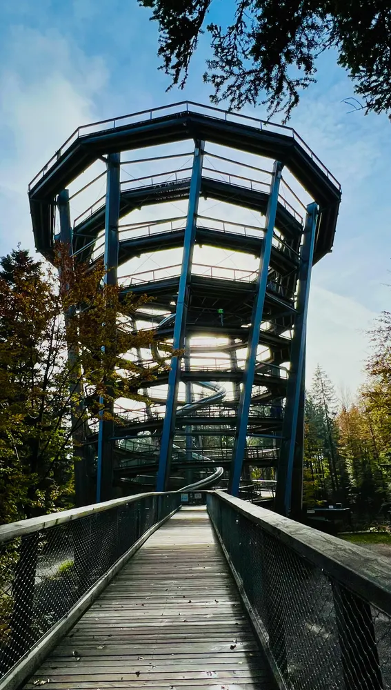 Schwarzwald Schwarzwald