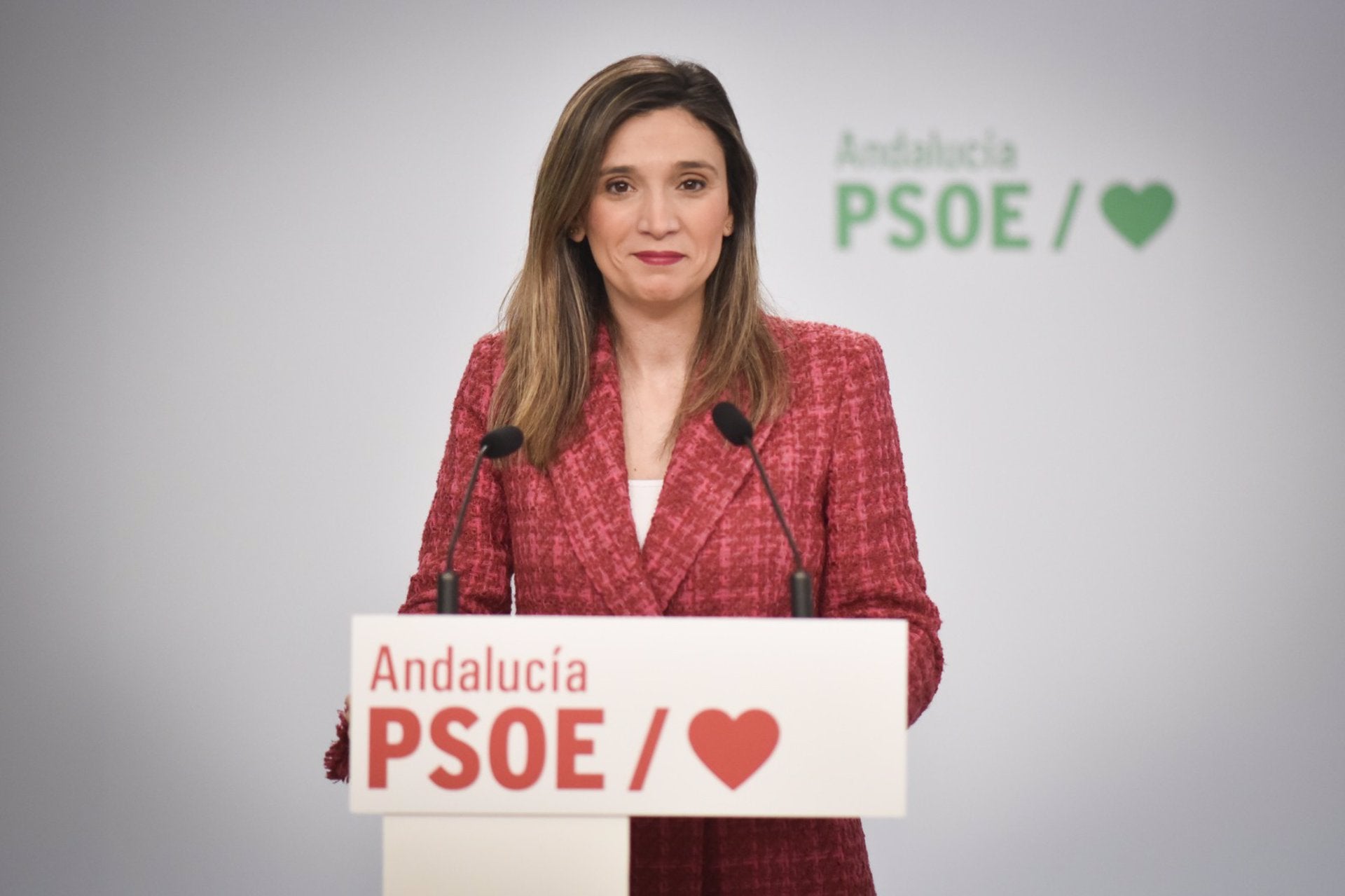 PSOE-A exige "una disculpa pública" de PP tras el archivo de la causa contra Millán y Colomo por denuncia falsa PSOE-A exige "una disculpa pública" de PP tras el archivo de la causa contra Millán y Colomo por denuncia falsa