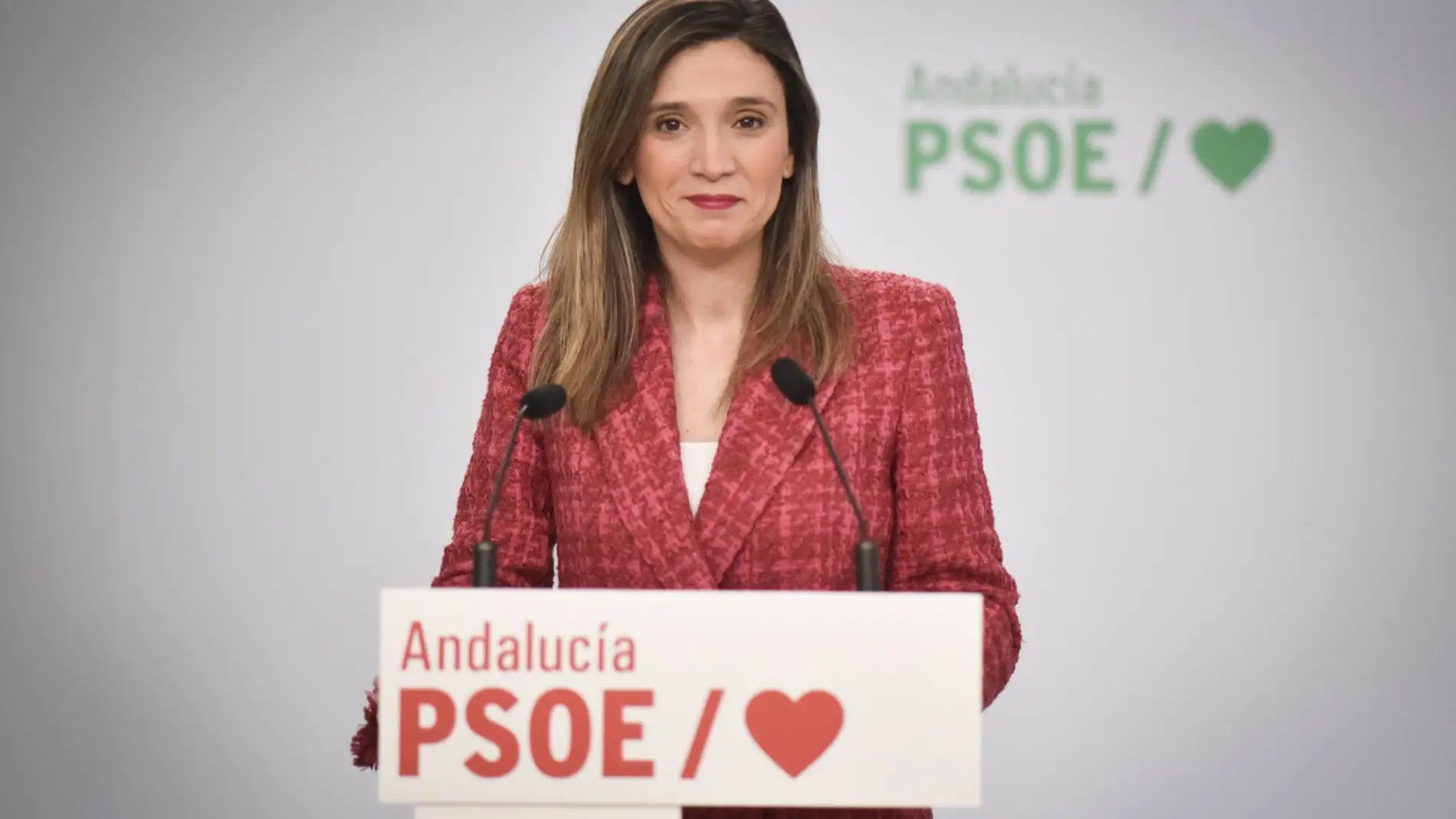 PSOE-A exige "una disculpa pública" de PP tras el archivo de la causa contra Millán y Colomo por denuncia falsa PSOE-A exige "una disculpa pública" de PP tras el archivo de la causa contra Millán y Colomo por denuncia falsa