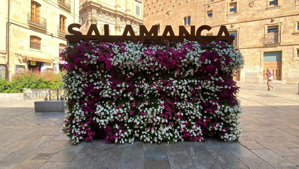 El 'photocall', con flores