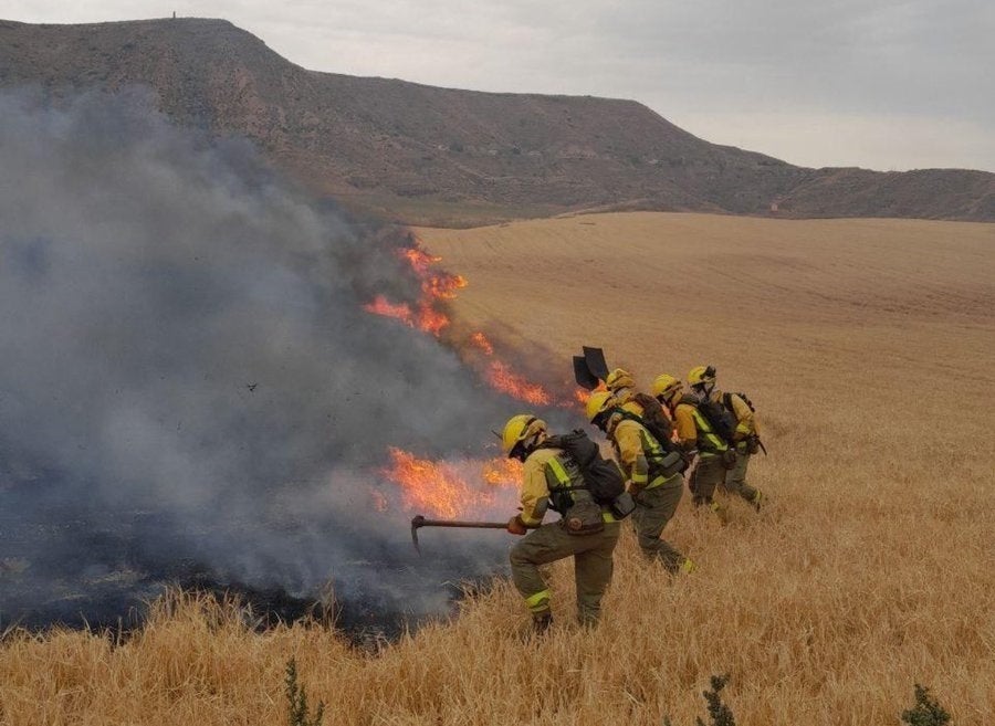 Arden varias hectáreas de pasto en un incendio forestal en el cerro de El Viso Arden varias hectáreas de pasto en un incendio forestal en el cerro de El Viso