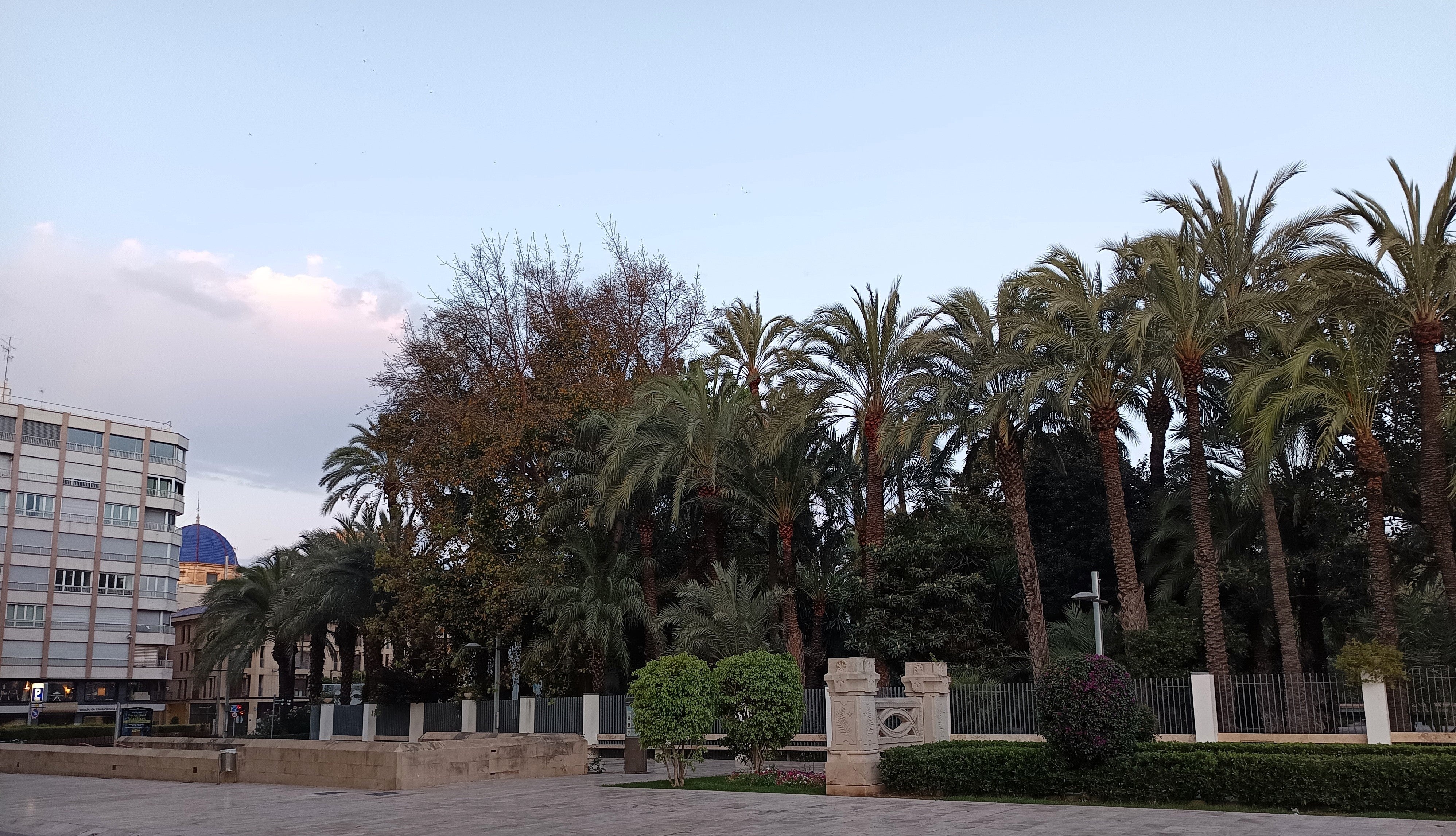 El viento de levante y ascenso del termómetro, protagonistas este miércoles en Elche, Crevillent y Santa Pola El viento de levante y ascenso del termómetro, protagonistas este miércoles en Elche, Crevillent y Santa Pola