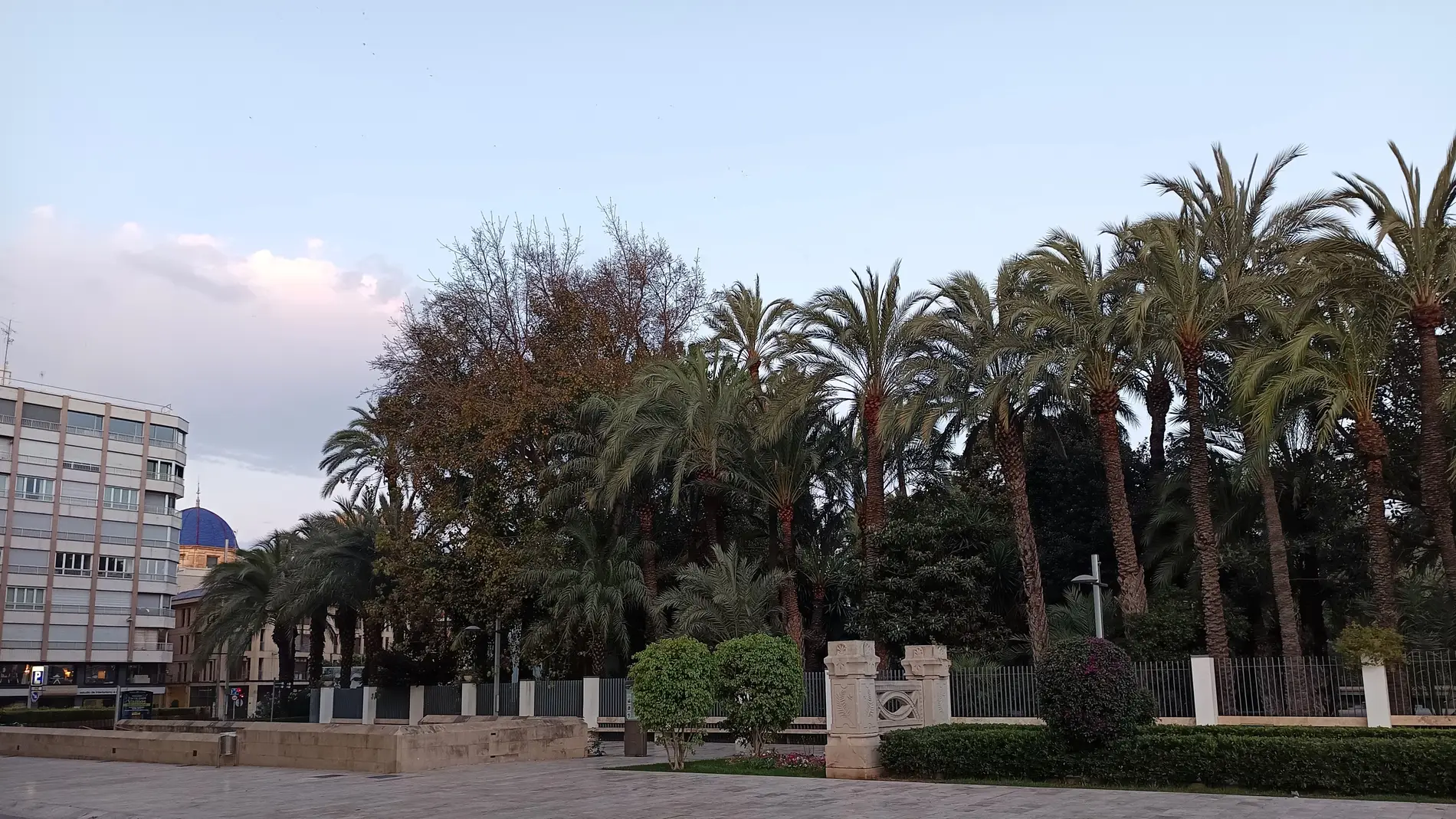 Paseo de la Estación de Elche. Paseo de la Estación de Elche.