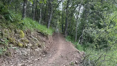 La Diputación de Palencia abre el plazo para la presentación del proyecto- diseño de construcción de tres circuitos de Trail de descenso MTB sostenibles .