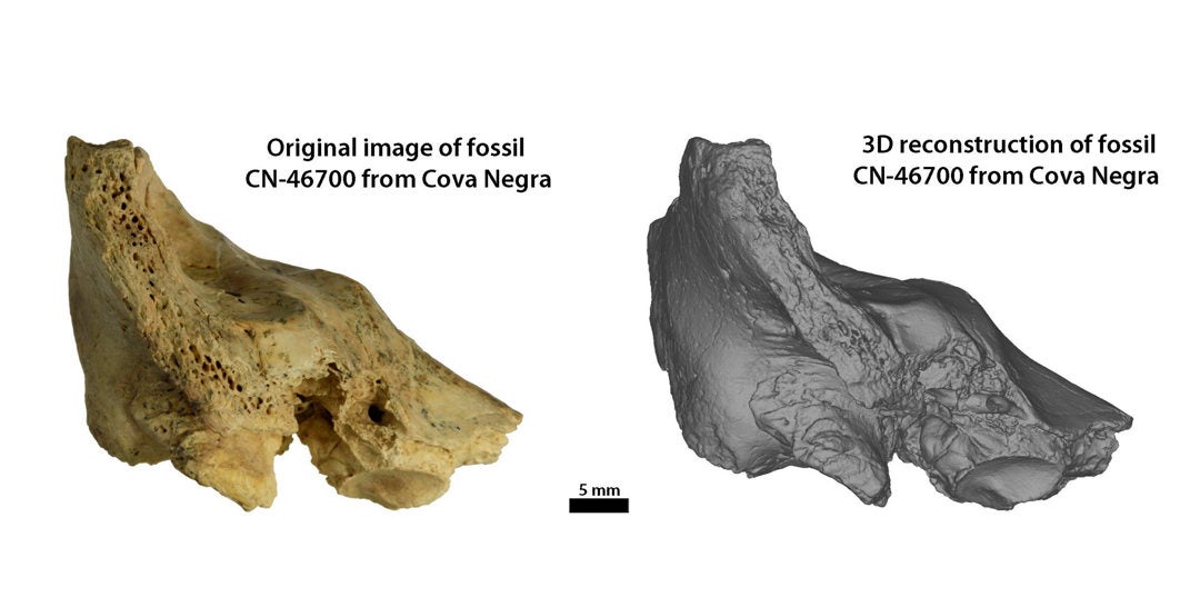 Tina, la niña neandertal con síndrome de Down que vivió gracias al amor de su grupo Tina, la niña neandertal con síndrome de Down que vivió gracias al amor de su grupo