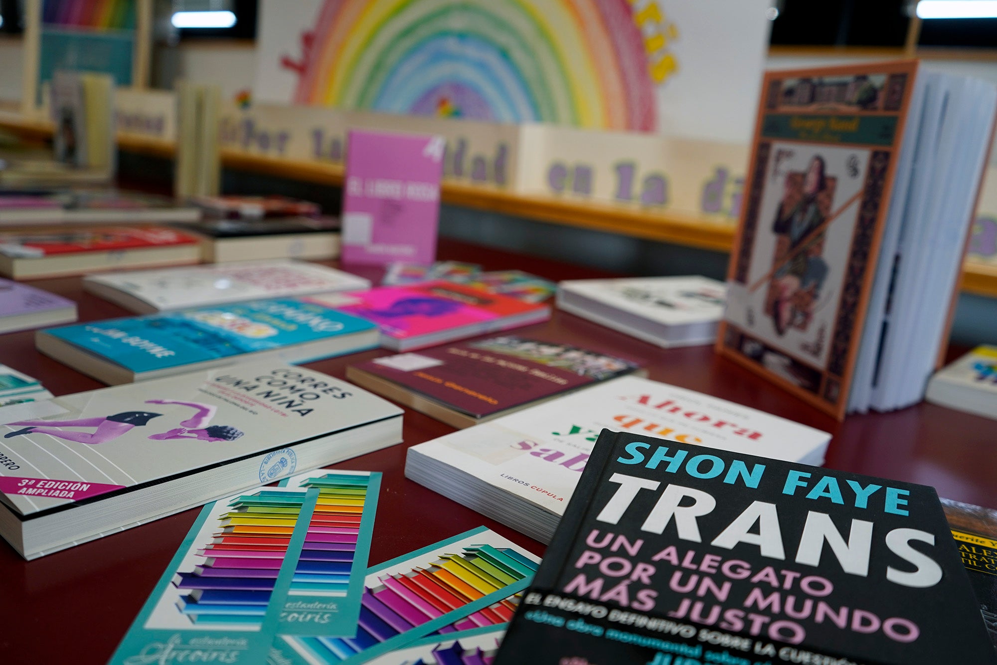 La biblioteca municipal de La Roda estrena su estantería 'Arco Iris' La biblioteca municipal de La Roda estrena su estantería 'Arco Iris'