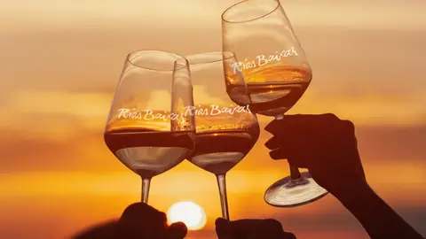 Vinos Rías Baixas Vinos de las DO Rías Baixas