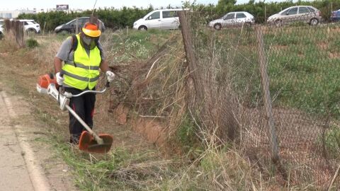 Un operario lleva a cabo trabajos de gestión y mantenimiento forestal en el término municipal de Sagunto