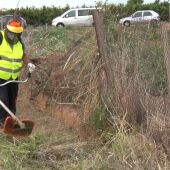 Un operario lleva a cabo trabajos de gestión y mantenimiento forestal en el término municipal de Sagunto