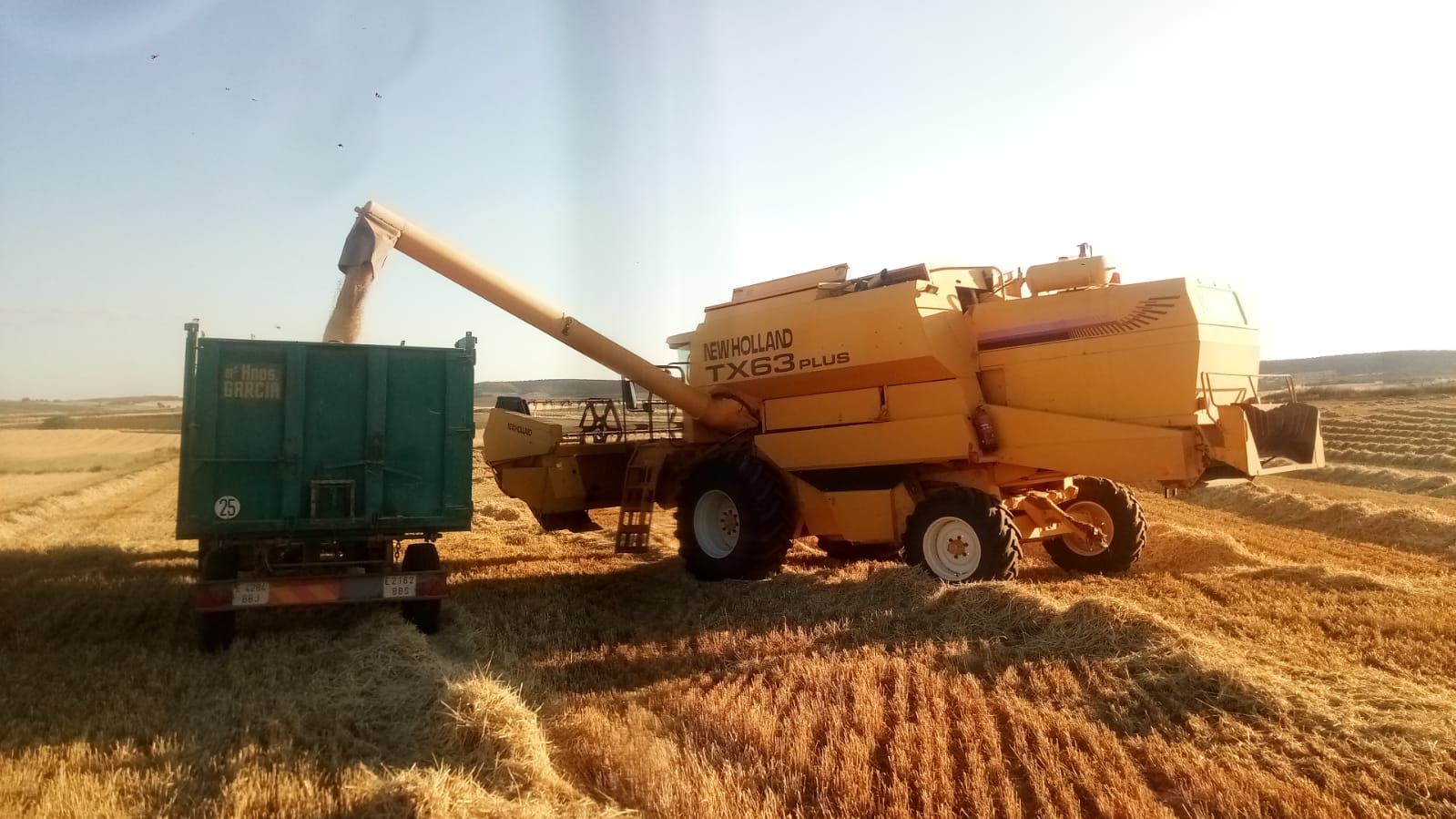 Asaja Cuenca pide la prohibición de la importación de grano Asaja Cuenca pide la prohibición de la importación de grano