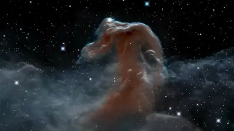 Nebuos Cabeza de Caballo Nebuos Cabeza de Caballo
