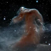 Nebuos Cabeza de Caballo Nebuos Cabeza de Caballo