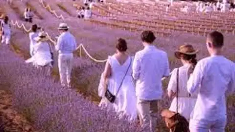 Festival de la Lavanda en Brihuega (Guadalajara)). Festival de la Lavanda en Brihuega (Guadalajara)).