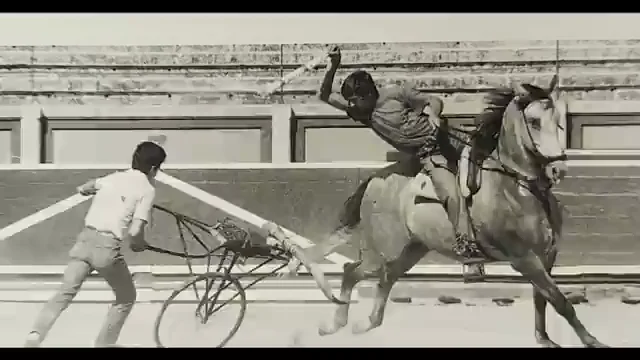 Pablo Hermoso de Mendoza Pablo Hermoso de Mendoza