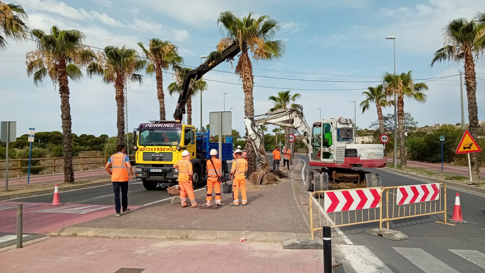 El Consell trasplanta 67 palmeras para mejorar la seguridad vial en una carretera de Mutxamel El Consell trasplanta 67 palmeras para mejorar la seguridad vial en una carretera de Mutxamel