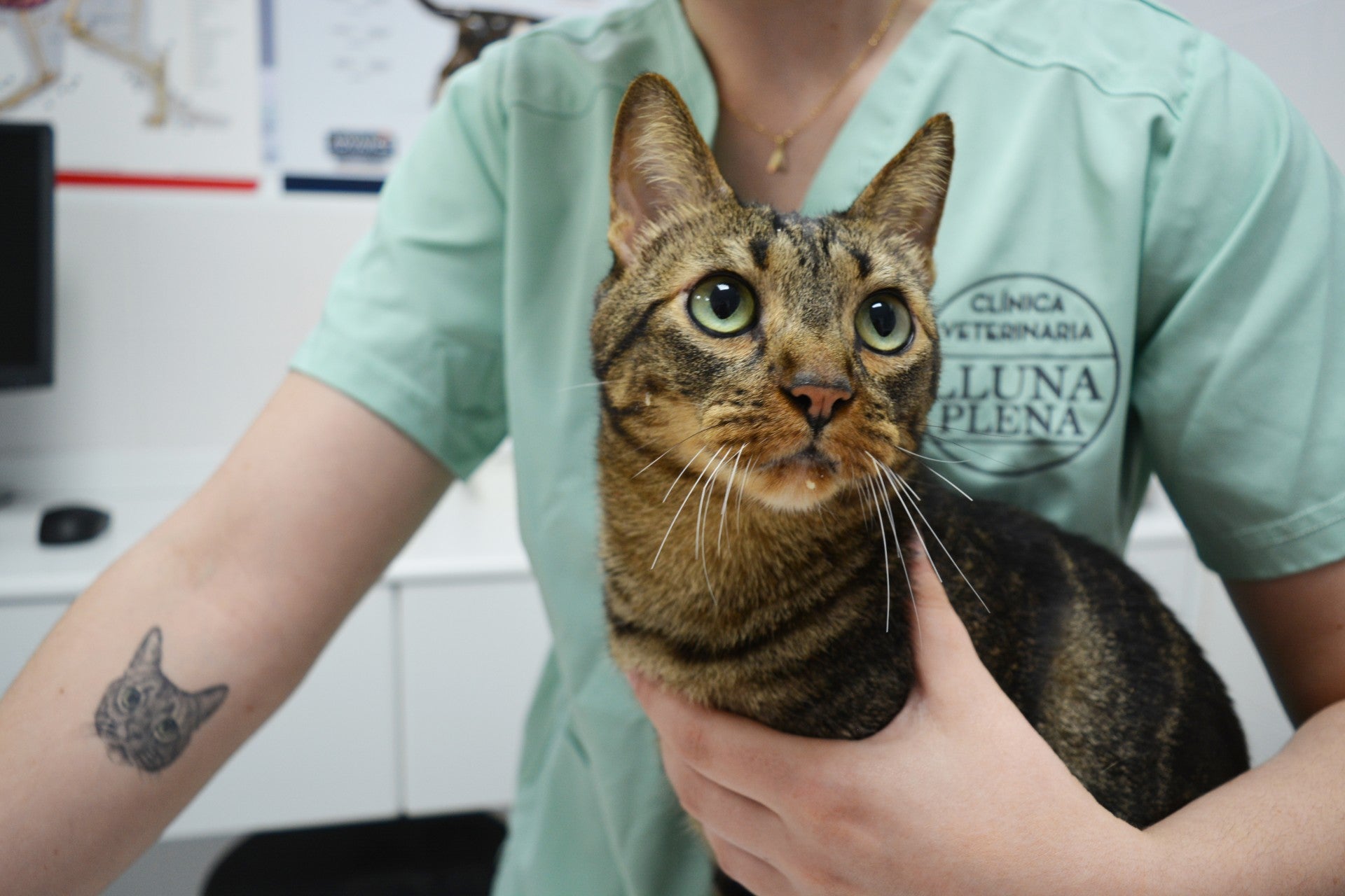 Lluna Plena reabre su clínica veterinaria en Vila-real Lluna Plena reabre su clínica veterinaria en Vila-real