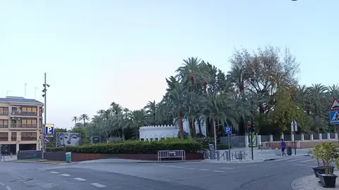 Parque Municipal de Elche. Parque Municipal de Elche.