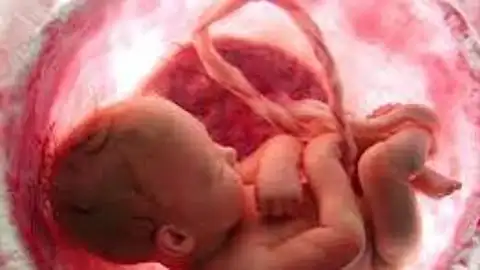 Comunicación prenatal Comunicación prenatal