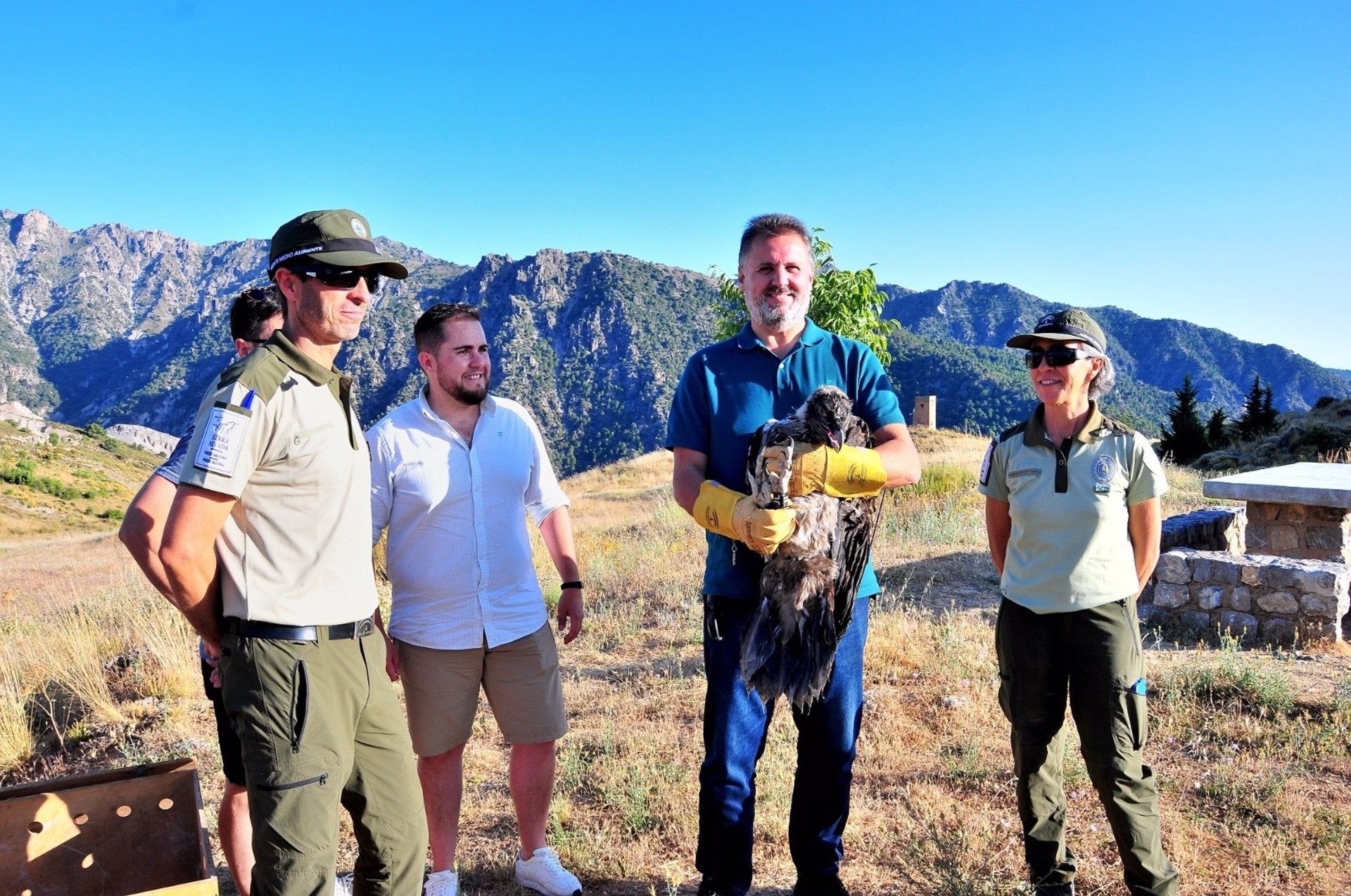 Consiguen reintroducir un tercer pollo de quebrantahuesos en Sierra Nevada Consiguen reintroducir un tercer pollo de quebrantahuesos en Sierra Nevada