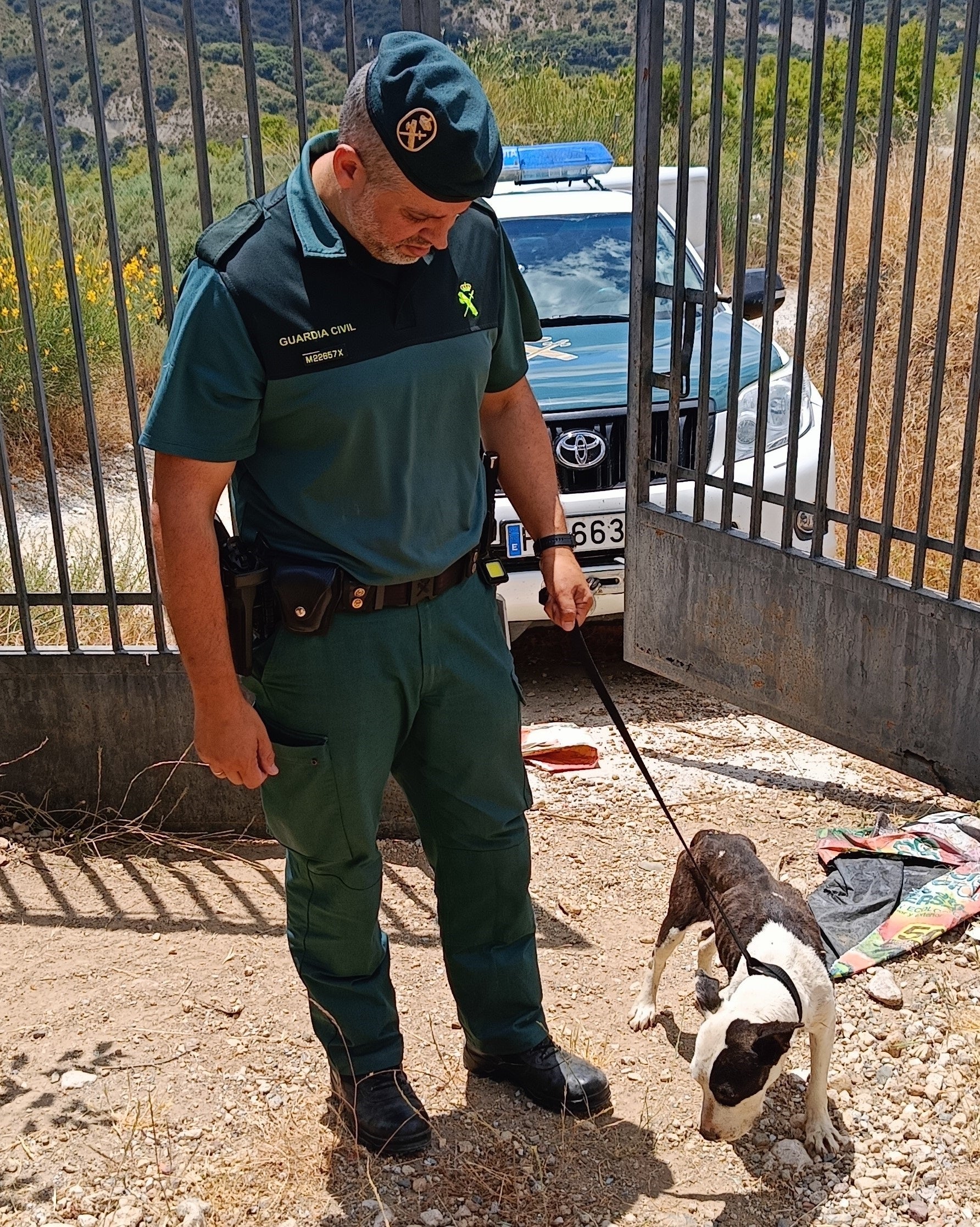 Investigada una persona por el deplorable estado de sus perros en un cortijo de Beas de Granada Investigada una persona por el deplorable estado de sus perros en un cortijo de Beas de Granada