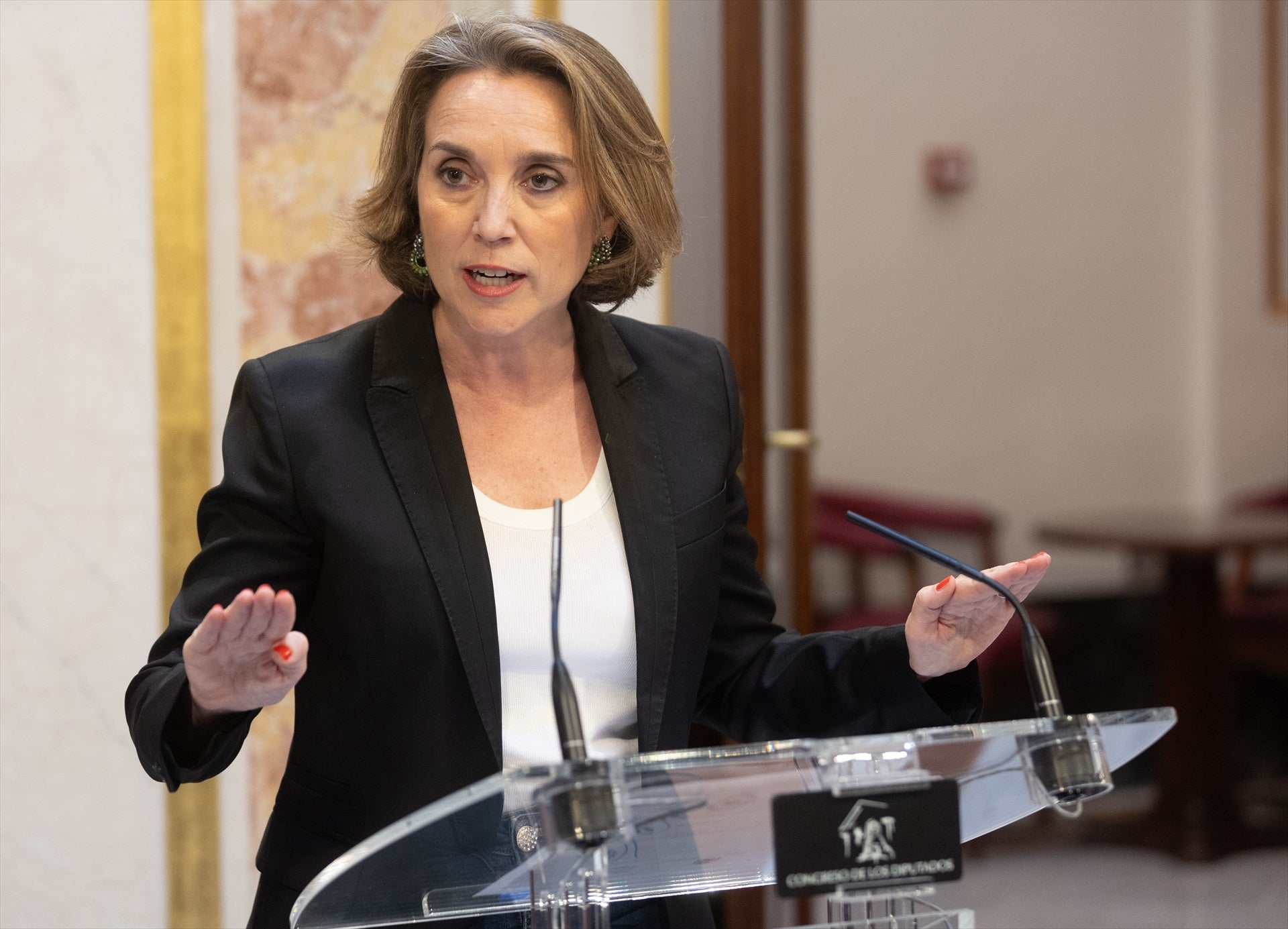 El PP ve "lamentable" que el Constitucional "borre la corrupción del PSOE" con su "revisionismo" en los ERE El PP ve "lamentable" que el Constitucional "borre la corrupción del PSOE" con su "revisionismo" en los ERE
